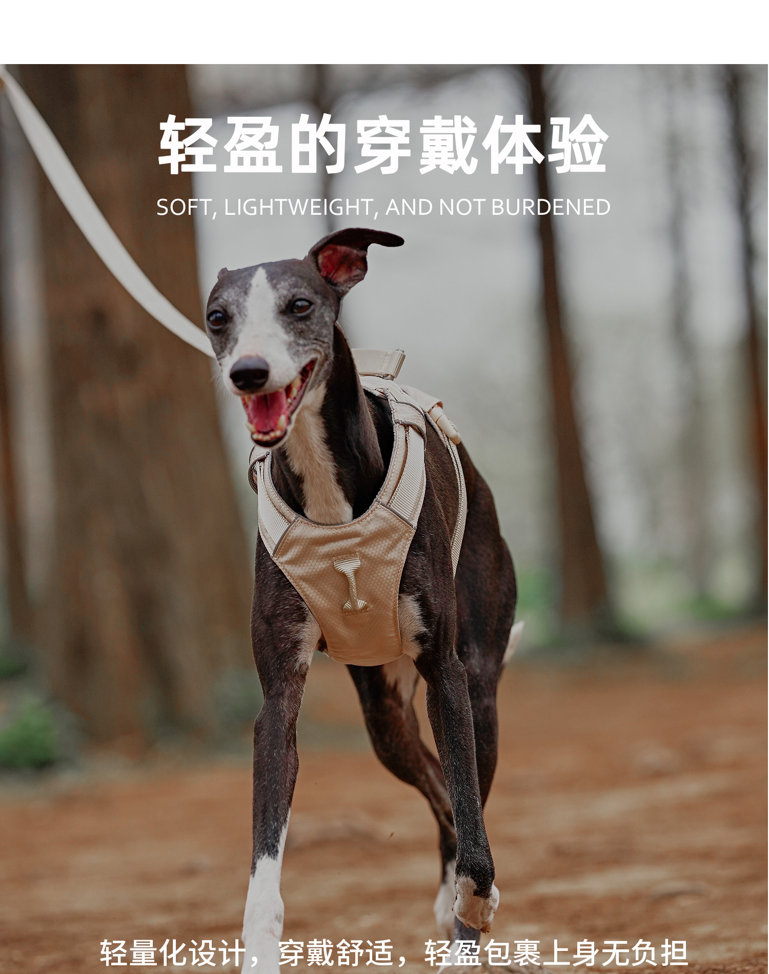 ZOOLAND狗狗胸背牵引绳遛幼小中大型犬泰迪柯基比熊边牧博美链子详情7