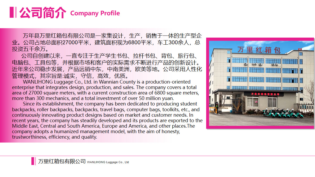 新款户外尼龙双肩包大容量防水休闲旅行背包详情1