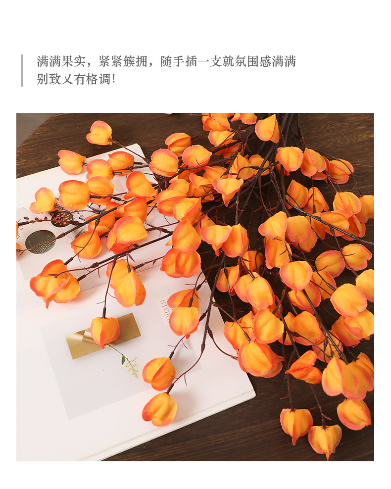 新款仿真灯笼果姑娘果高品质家居软装装饰插花假花摆件摄影道具详情14