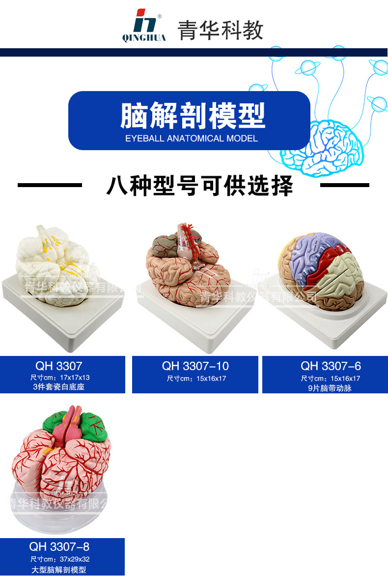 Qinghua 4D Assembly Brain Anatomy Model, human brain anatomy, cerebrovascular artery, nerve, medical science and education model pic 1