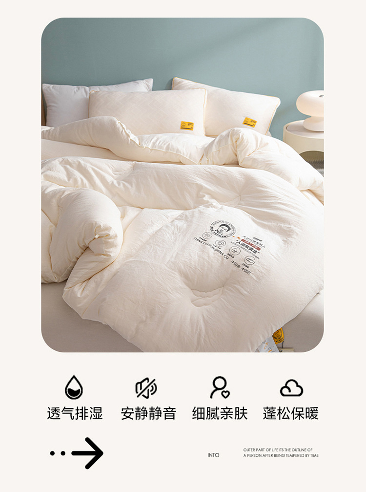 A类李官奇大豆纤维被子大豆被芯加厚冬被保暖冬季被芯春秋被批发详情16