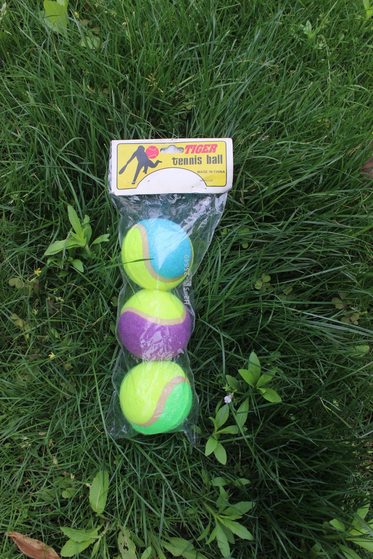 Venta directa de fábrica clase C pet tennis al por mayor perro roer roer rodar goma resistente al desgaste en stock cabello rápido pic 2