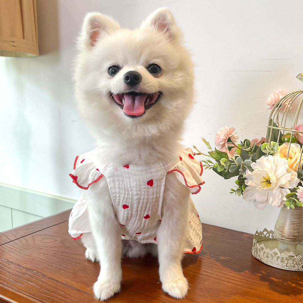 Mascotas vestido ropa ropa primavera verano perro gato teddy by bear pomerania muppet gato amor 100% algodón pic 18