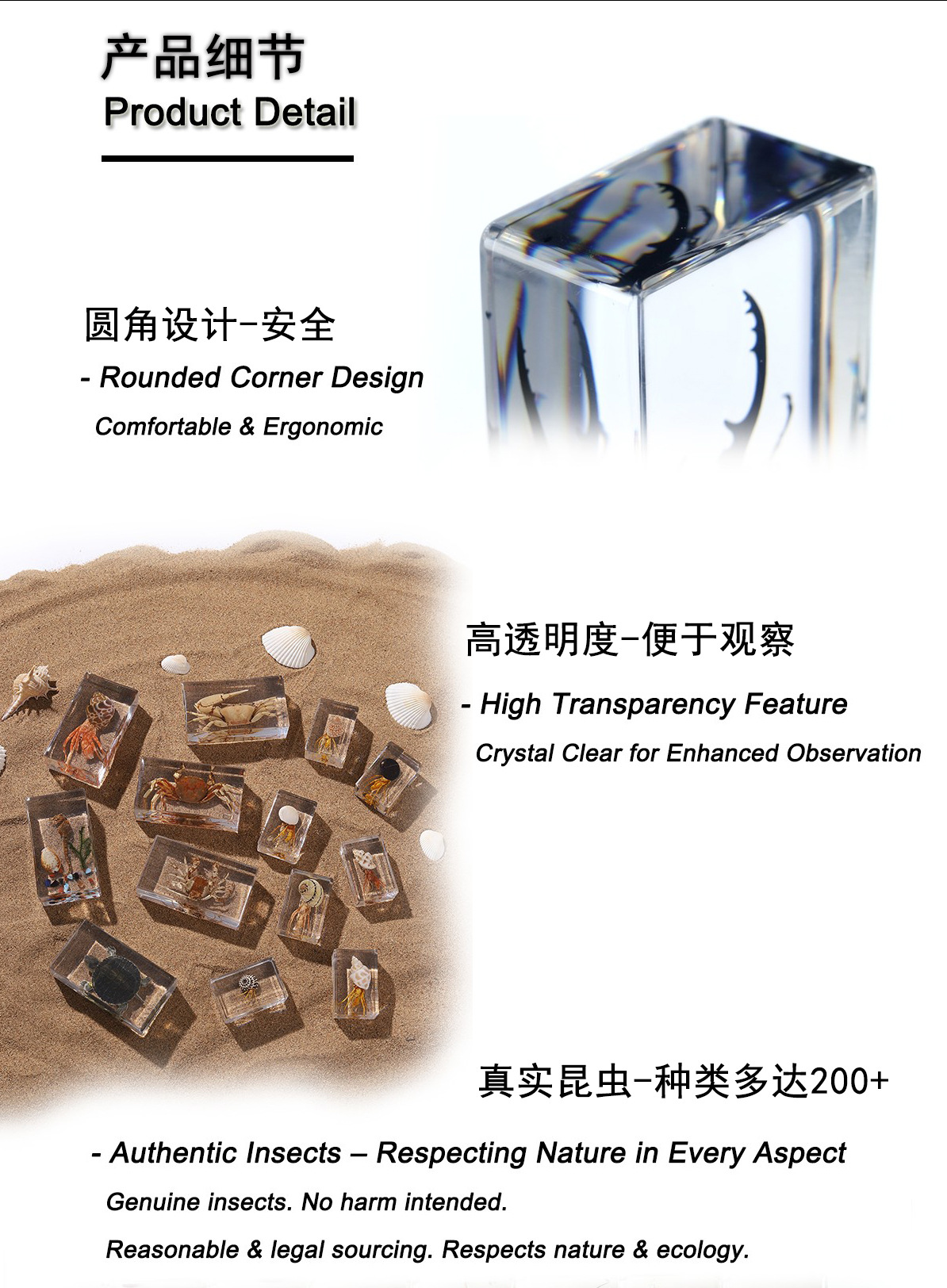 Zhenfang Craft Factory offers self-operated real insect specimens, biological science popularization teaching, ciphertext waybills, and cross-border one-piece consignment pic 4