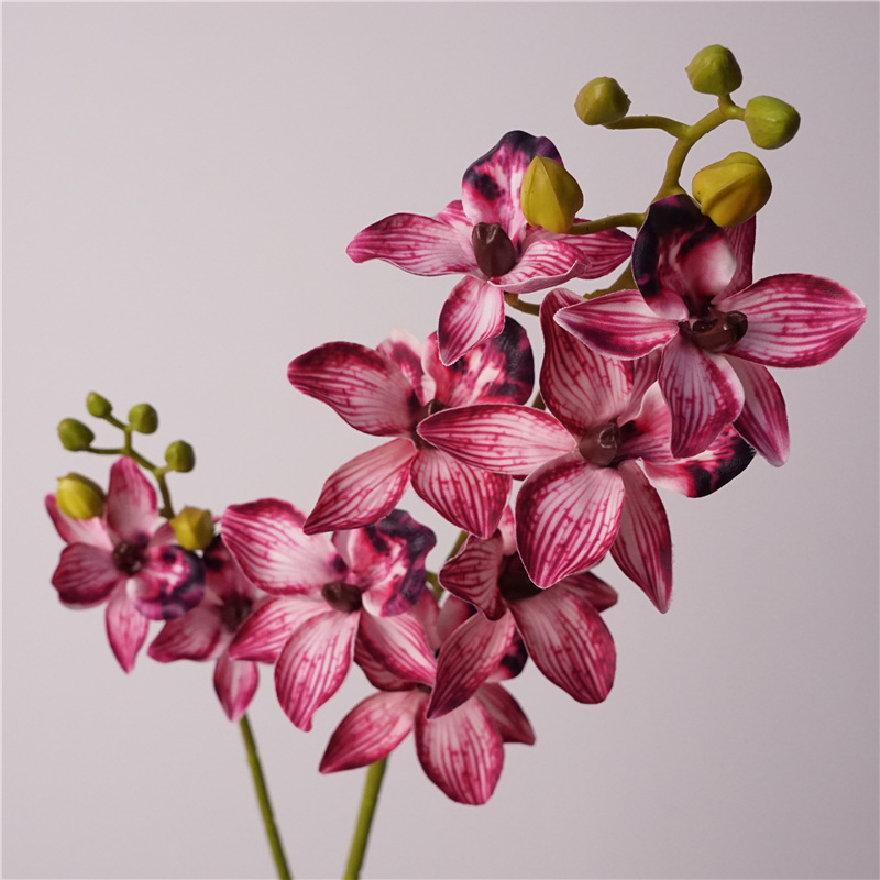 千鸟兰仿真花蕙兰蝴蝶兰软胶高品质插花配材新中式简约树枝装饰品详情4