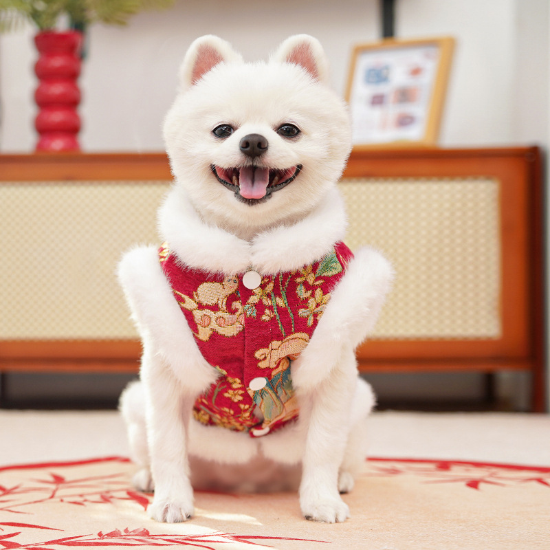 New Year Autumn and Winter double-layer thickened fleece Chinese-style jade rabbit pet dog and cat clothing, clothing and accessories, Tang suits, bichon Frises, Teddy bears pic 13