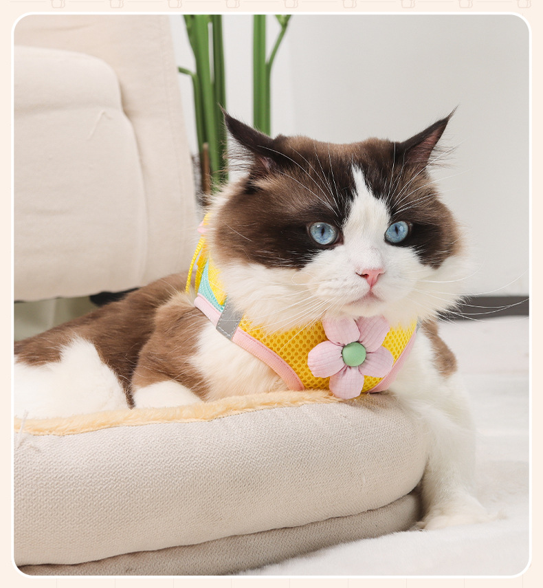Nuevo estilo de cuerda de tracción de gato lindo pequeño tamaño perro pecho arnés tipo chaleco pet pecho espalda anti-liberación envoltura completa pic 14