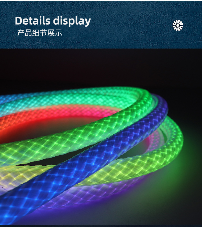 跨境专供龙纹编织幻彩灯带LED霓虹灯10mm防水Led柔性霓虹灯条形灯详情13