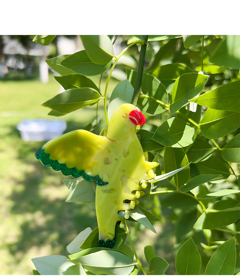 柏菲雅高级感鹦鹉拼接醋酸抓夹春夏小清新鲨鱼夹卡通动物发饰头饰详情9