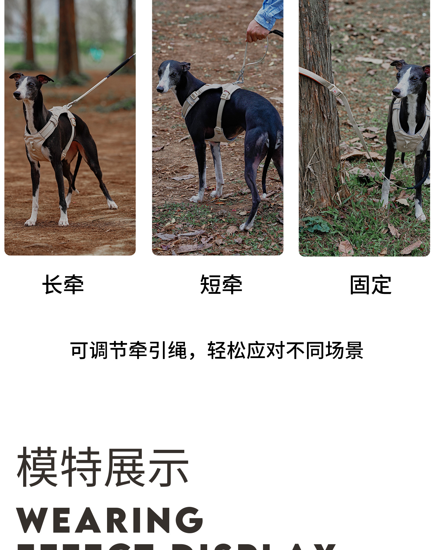 ZOOLAND狗狗胸背牵引绳遛幼小中大型犬泰迪柯基比熊边牧博美链子详情23