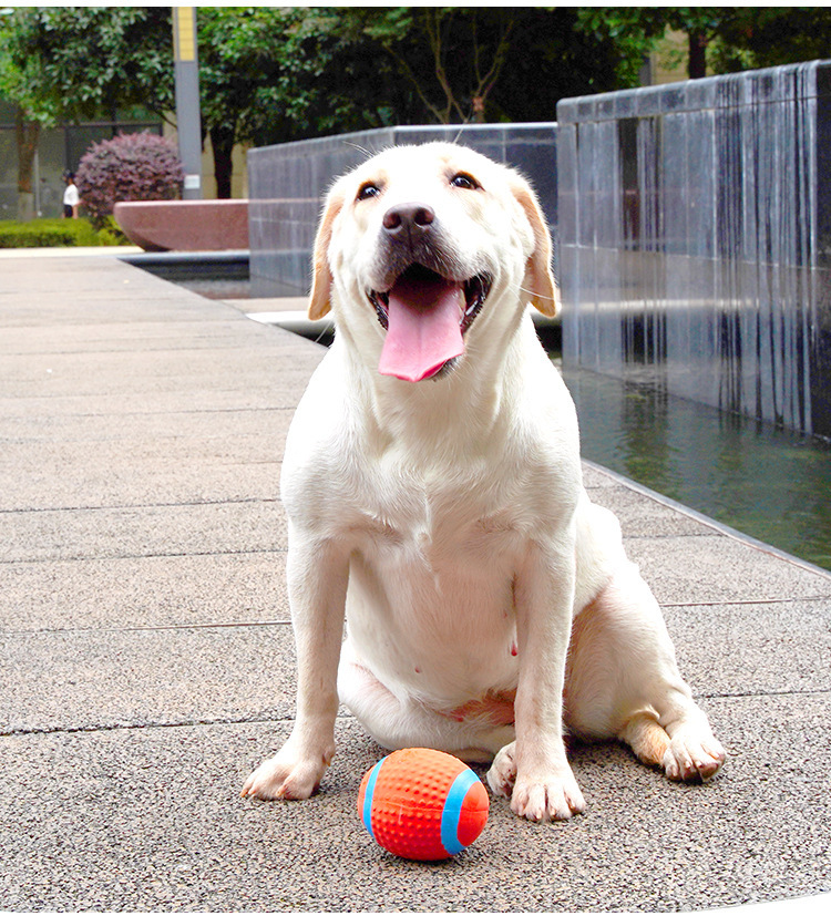 Pet latex toys, rugby balls, sound-making, biting pet dog toys wholesale, dolls, other styles pic 26