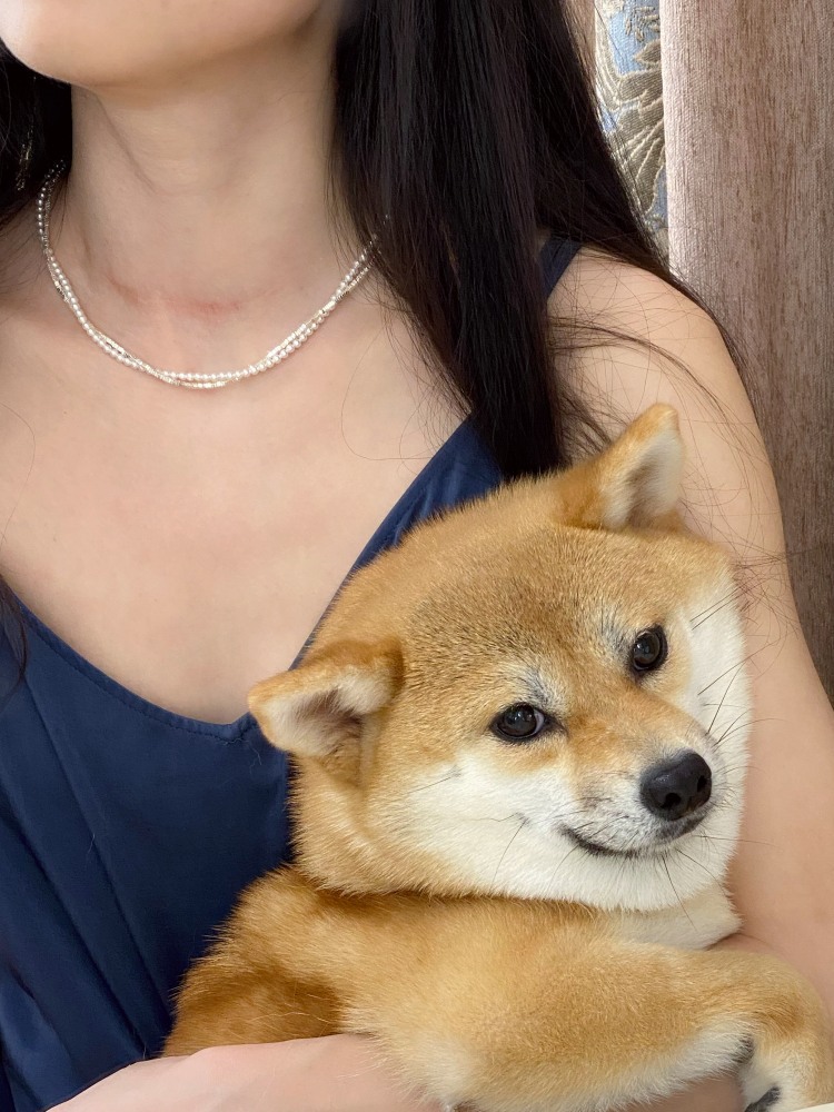 The entire S925 sterling silver Shijia pearl wound necklace features a niche design for women, a neckchain, a collarbone chain, and a light luxury chain pic 11