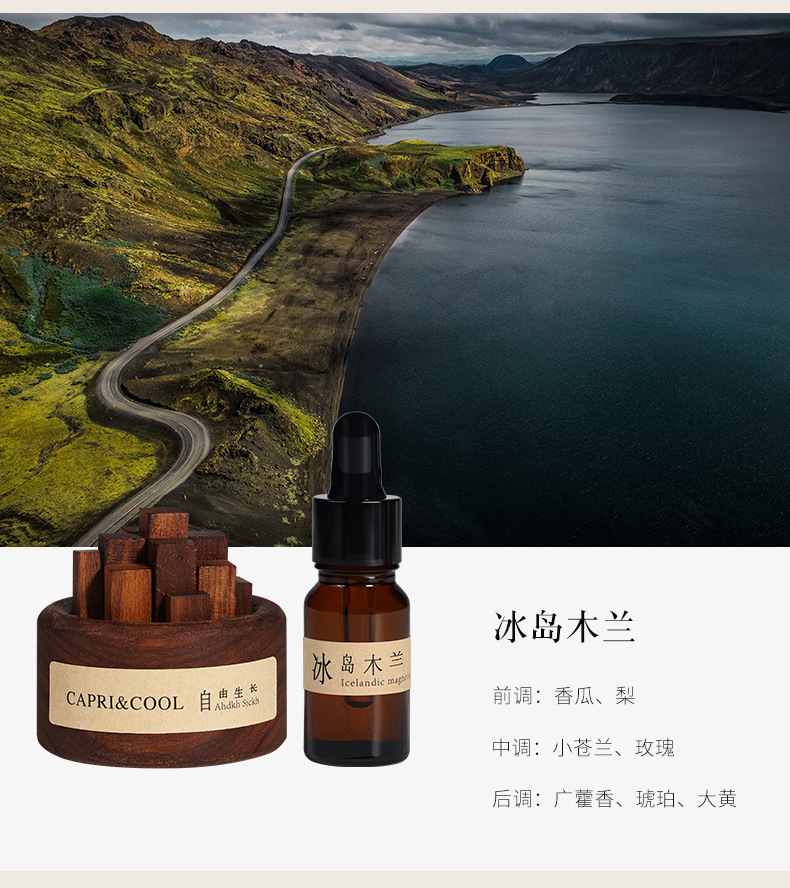 Free-growing diffuser wood, flameless aromatherapy essential oil, home indoor diffuser, bedroom decoration, flameless fragrance gift pic 19