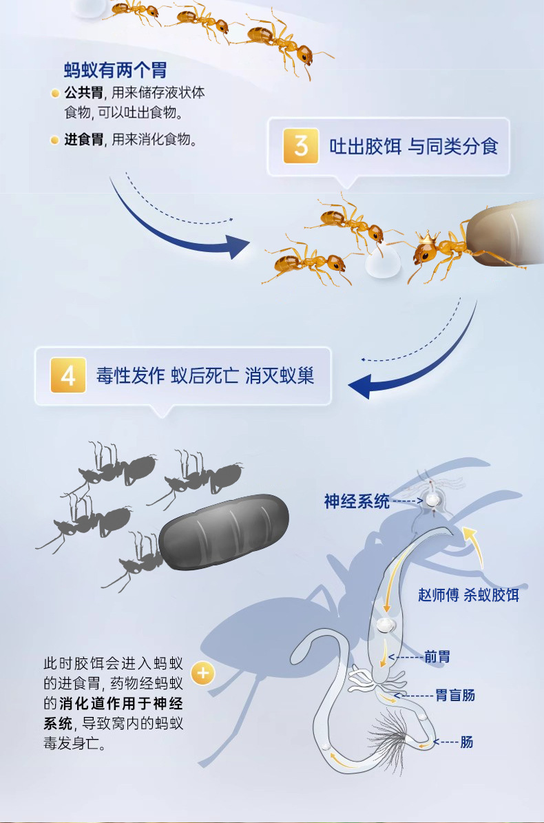 定制OEM/ODM赵师傅蚂蚁药贴牌代工灭红火蚁白蚁胶饵剂野外户外用详情11