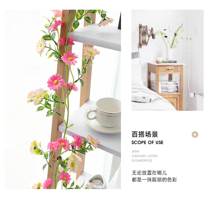 小雏菊---副本_14.jpg