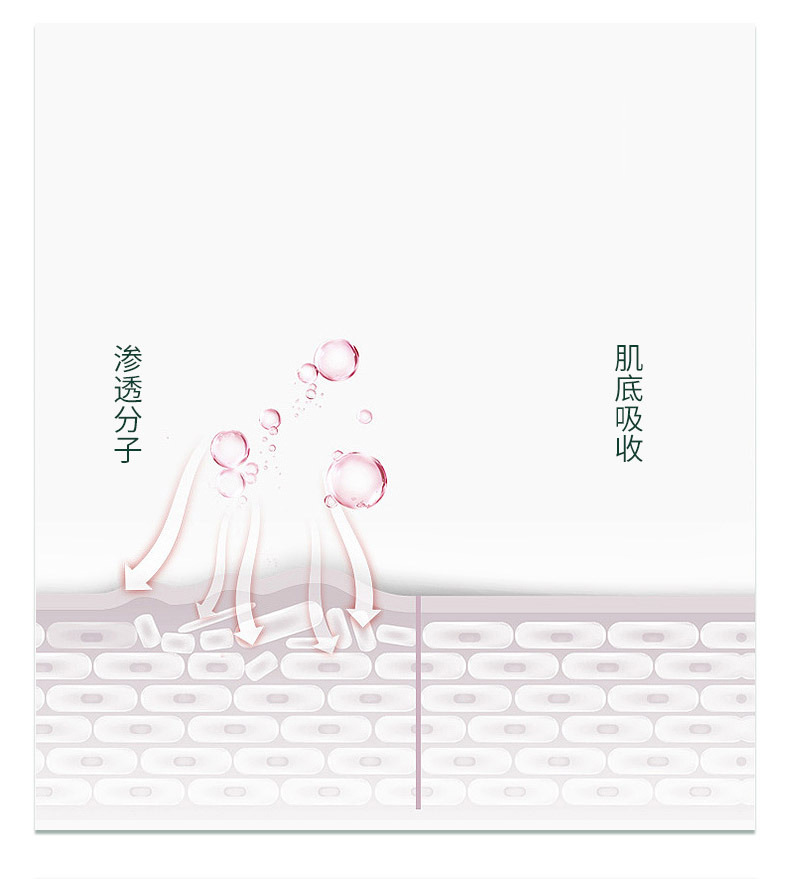 shanilak   多功能电动喷笔枪丙烯颜料彩绘喷漆枪手办上色模型喷枪美甲喷笔详情14