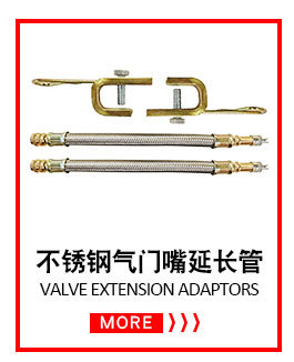 Bicycle valve adapter, bicycle air pump conversion nozzle, bicycle accessories, air nozzle valve adapter SV AV DV pic 5