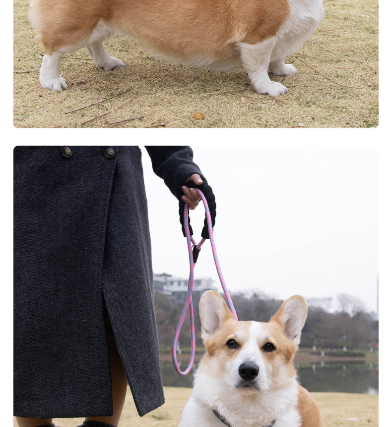 Dog leash, colorful nylon reflective round rope, large dog explosion-proof p rope, dog leash, medium and large dog leash pic 13