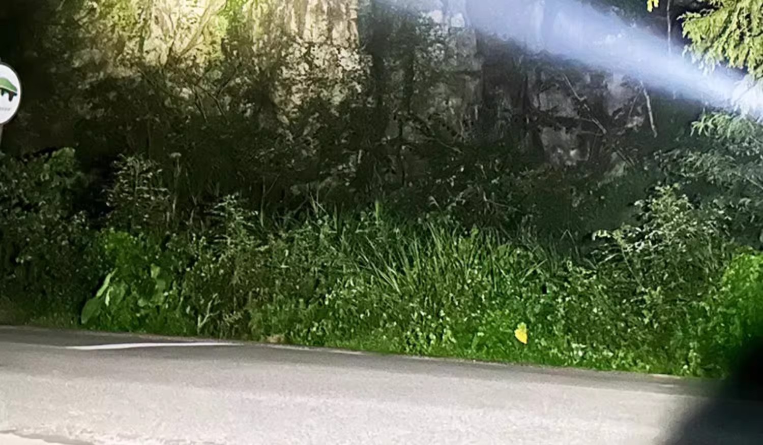 头灯头戴式强光充电超亮钓鱼专用超长续航锂电手电筒矿灯感应夜钓详情3