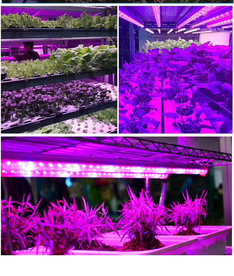 Full-spectrum cross-border flower greenhouse, household indoor succulent lamp, coloring and supplementary lighting lamp, T8LED plant lamp, growth lamp pic 18