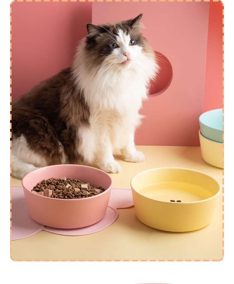 Large-capacity pet ceramic bowl, simple matte underglaze color dog food bowl, cat bowl and dog bowl, universal, easy to clean and anti-tipping pic 4