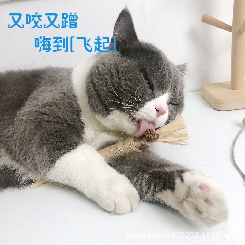 木天蓼磨牙棒猫咪玩具虫瘿果拉菲草成幼猫自嗨啃咬磨牙洁齿去牙垢详情8
