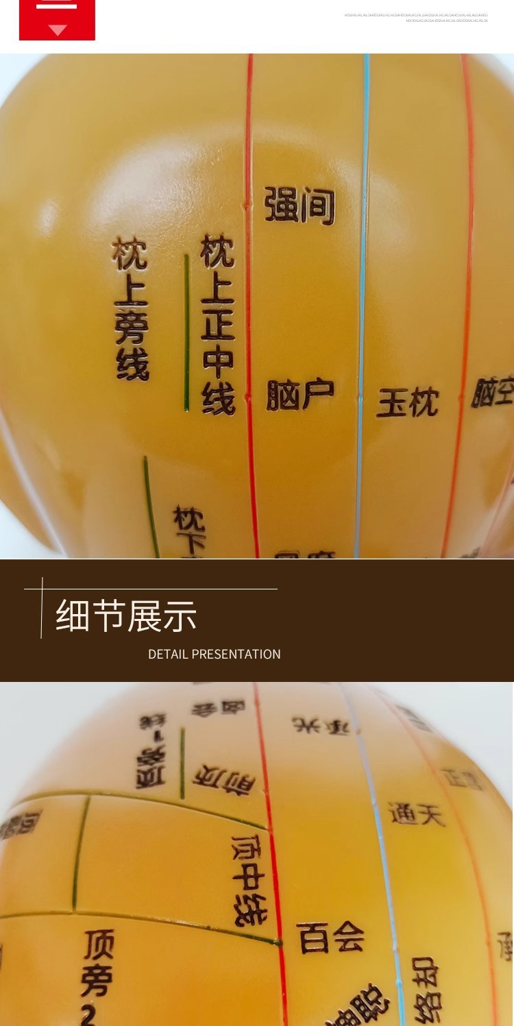 Head medical acupuncture practice model, traditional Chinese medicine acupoint meridian massage human body model, massage head model 21cm pic 7