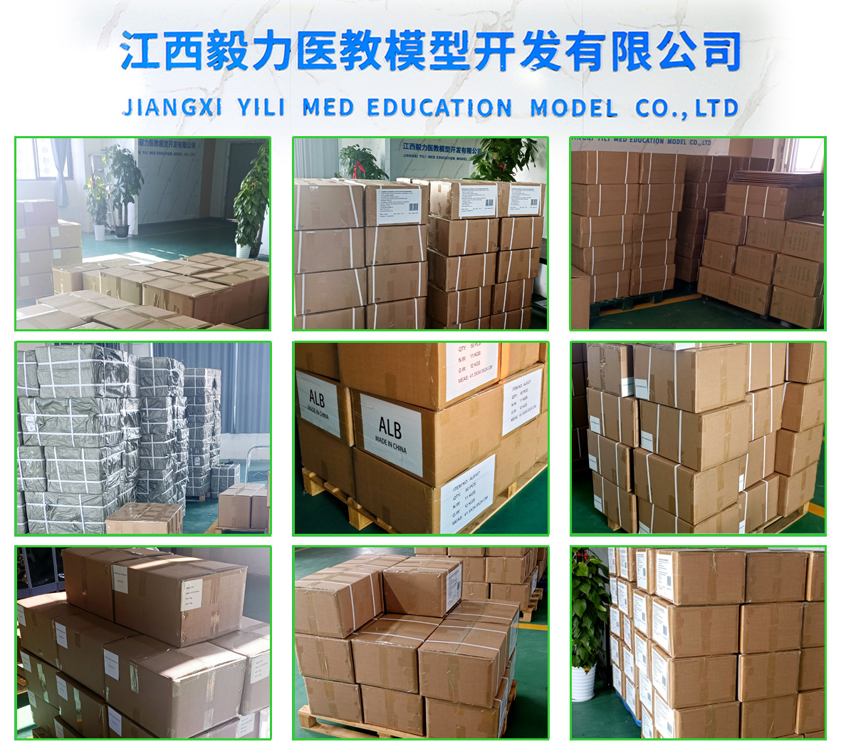 MTS Simulation Seven-line silicone suture practice Module Medical teaching aid Medical model suture training pad pic 4