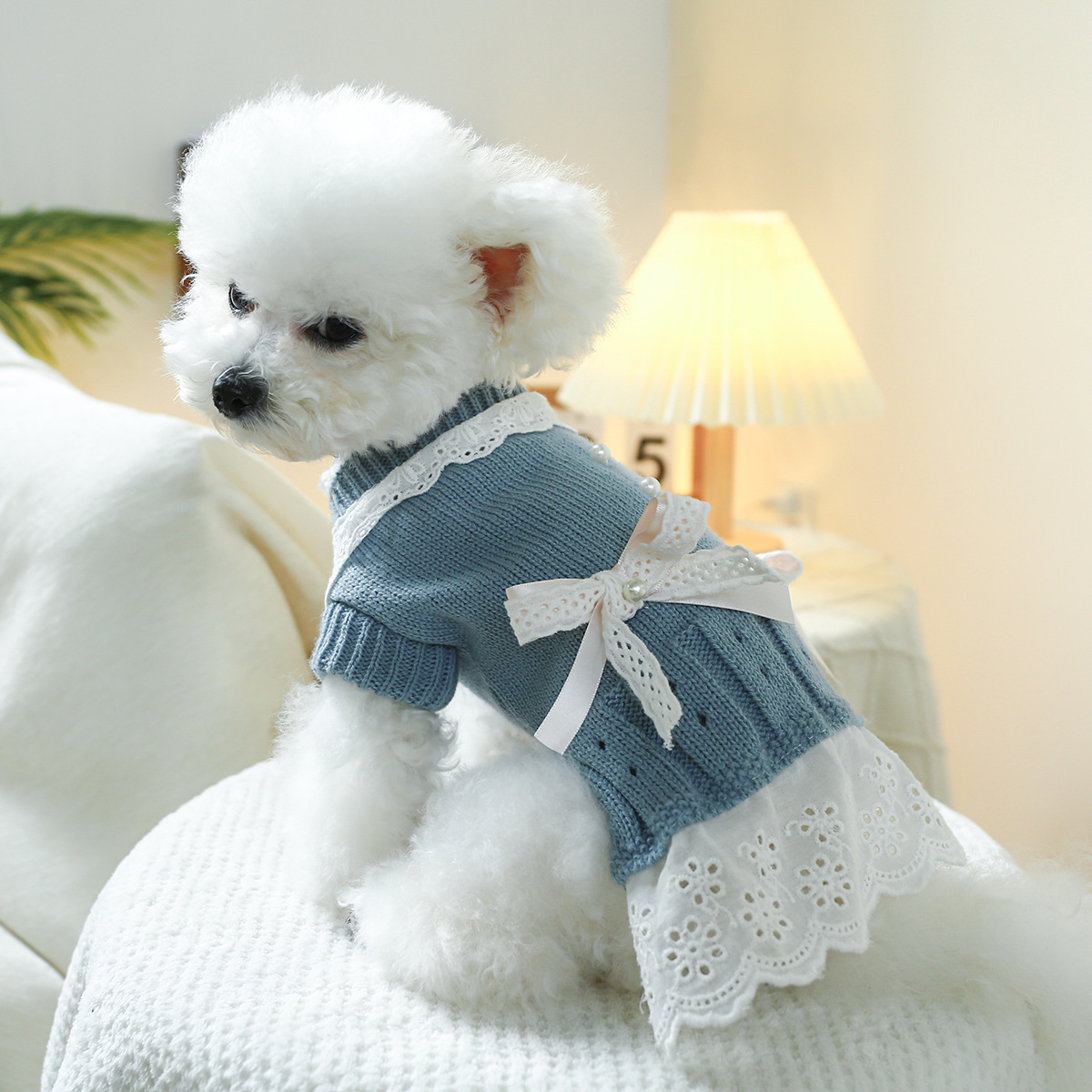 T Elegant princess cat and dog clothes, pet dog and cat warm and comfortable home clothes for autumn and winter, dog clothes, pet skirts pic 11