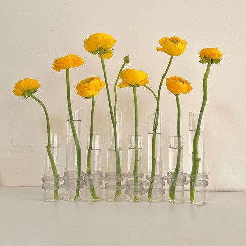 玻璃试管花瓶支架透明创意水培花器一排组合摆件玫瑰百合阳台花架详情17