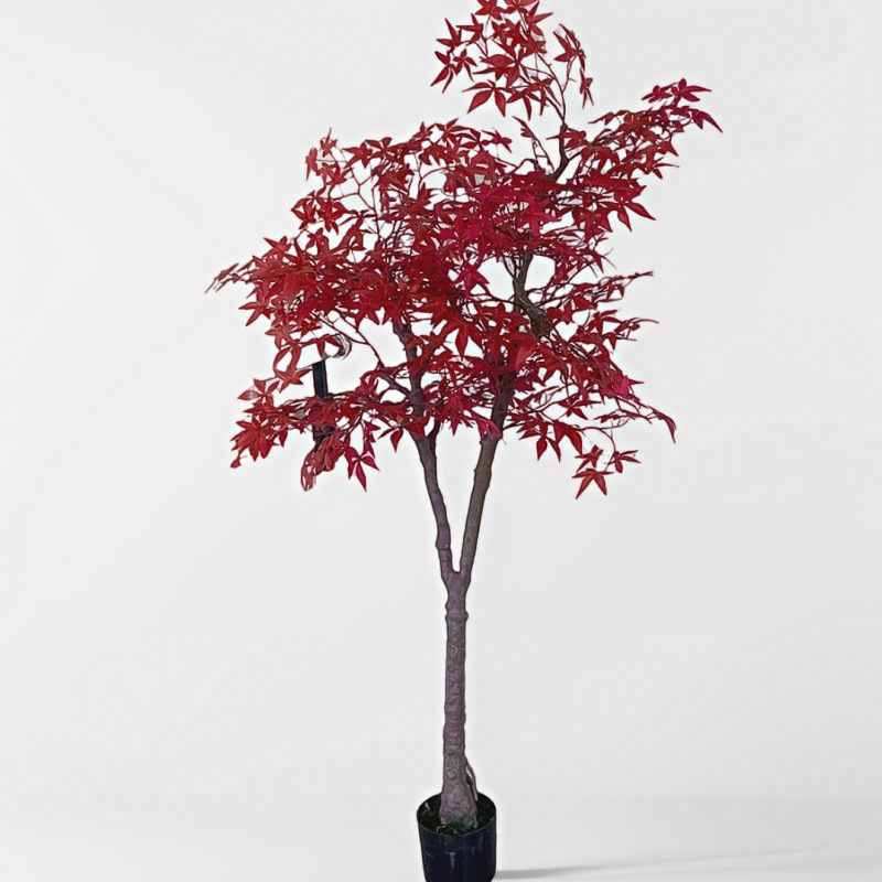 e48a4bc10a944b0a970acadda811ac