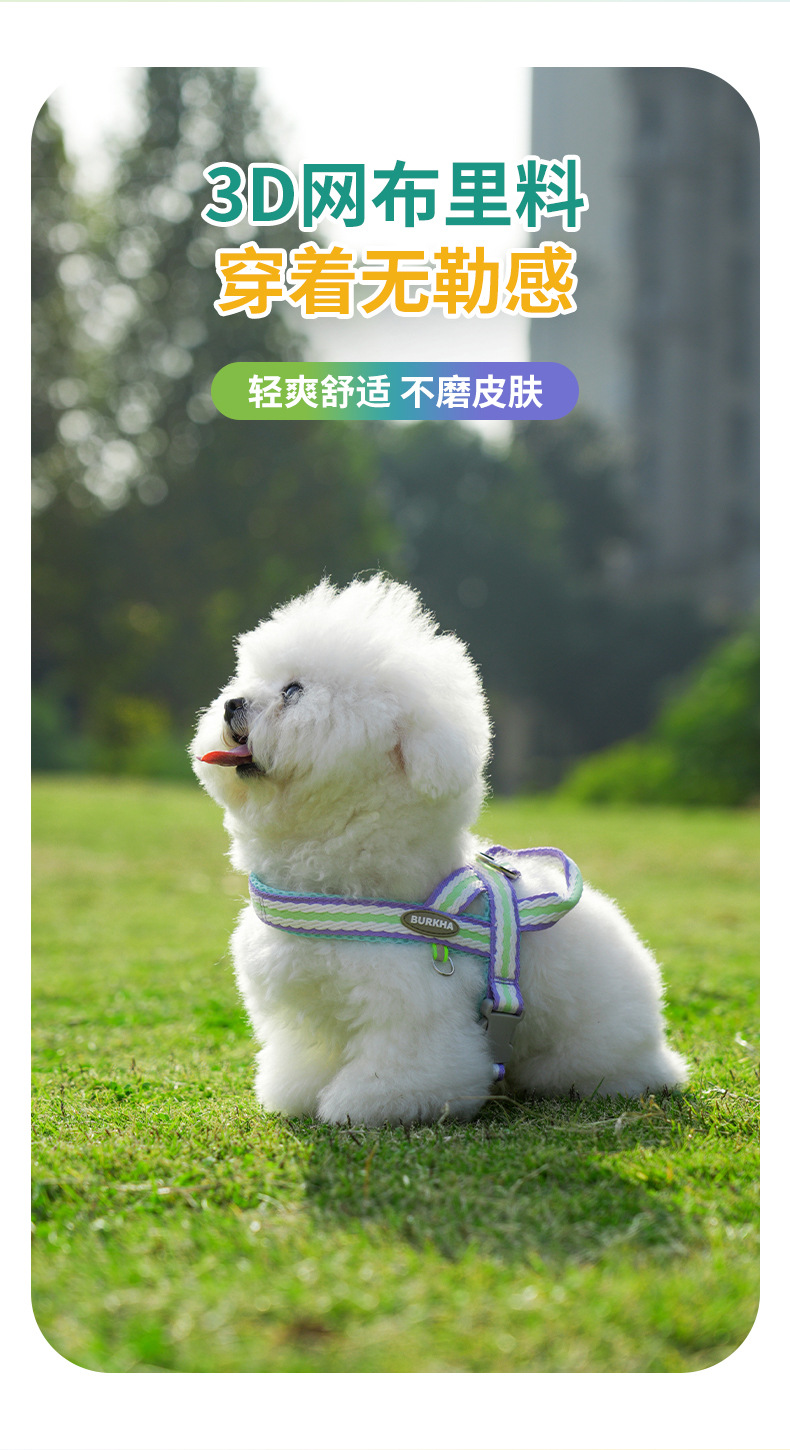 狗狗牵引绳防爆冲小型犬宠物背心式胸背带泰迪柯基胸背带遛狗绳子详情7
