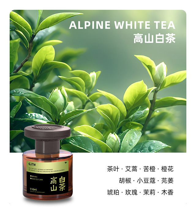 White tea car aromaterapia 2025 nuevo perfume de coche de larga duración para coche de lujo para mujeres eliminar el olor dentro de los hombres pic 25