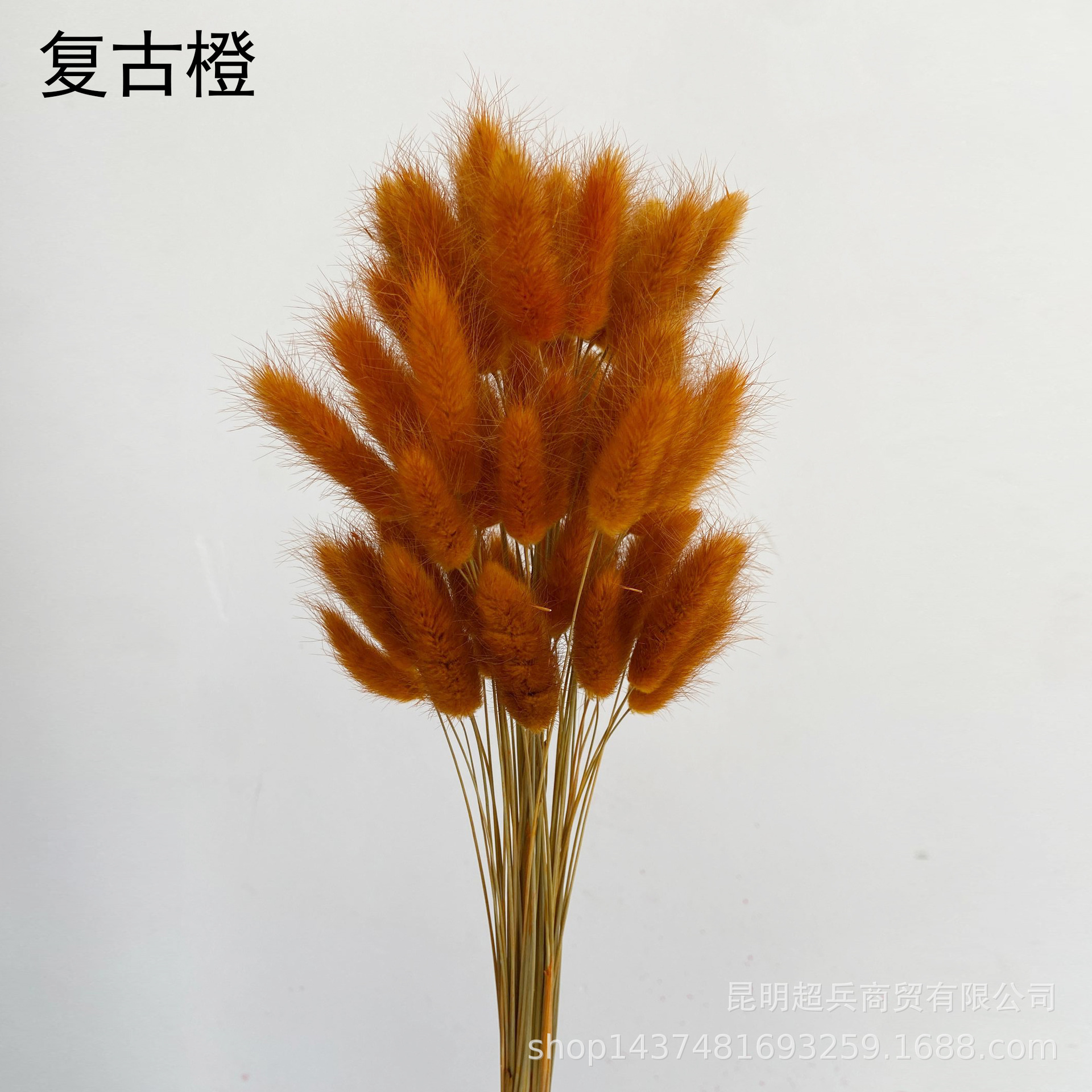 QQ图片20211210155629.jpg