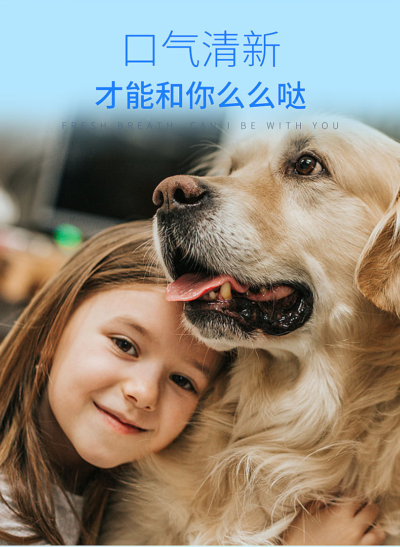 Pet toothbrush and toothpaste 4-piece set, pet dog oral cleaning toothbrush and toothpaste set, dog beef-flavored toothpaste pic 12