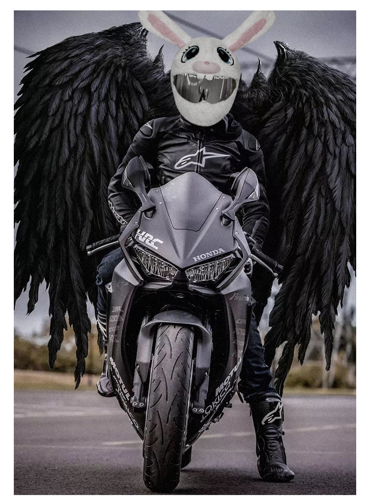 New plush motorcycle warm helmet protection cover, cartoon innovation helmet protection, fun long-eared rabbit helmet cover pic 11