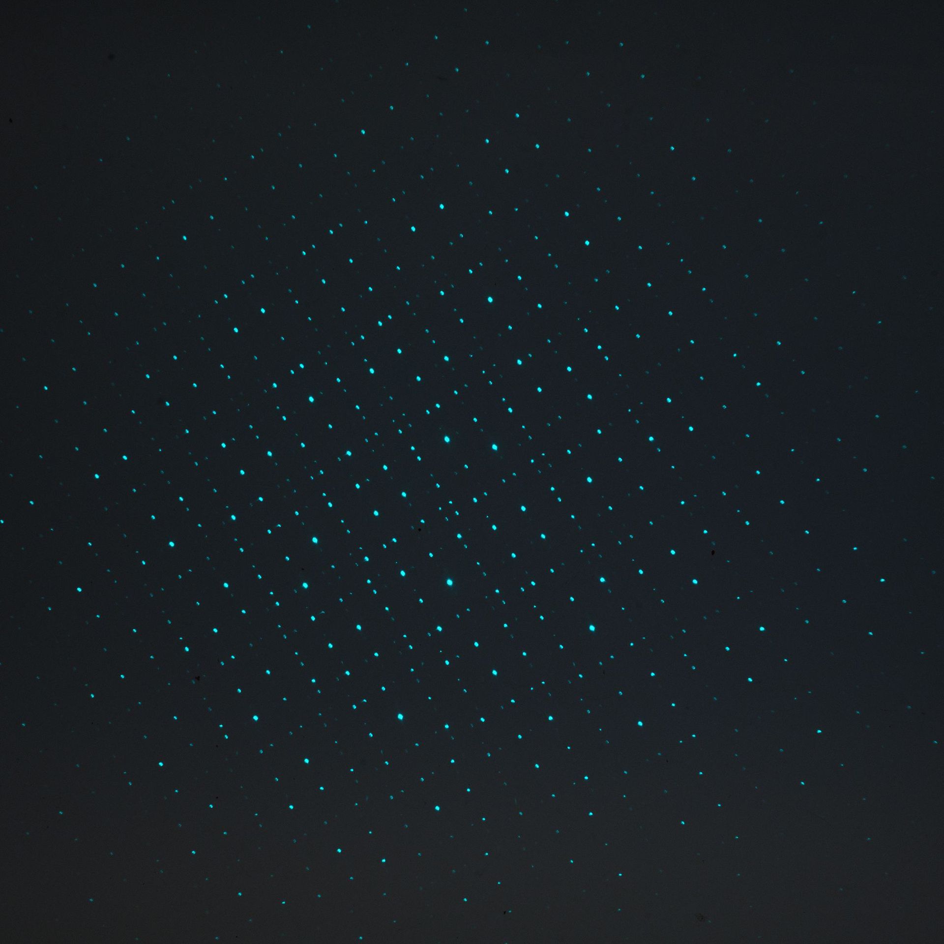 多功能激光灯钥匙扣绿光笔远射灯多图案满天星激光笔玩具登山扣详情23