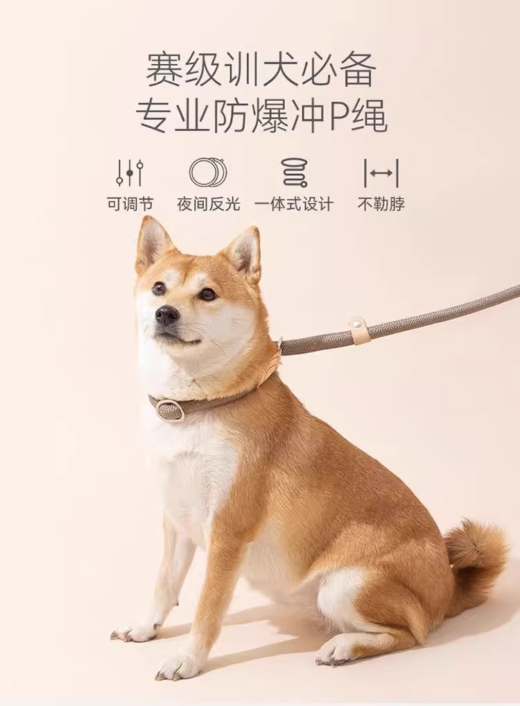 狗狗绳子防爆冲P链遛狗牵引绳防挣脱狗链子中大型犬防爆冲拴狗绳详情38
