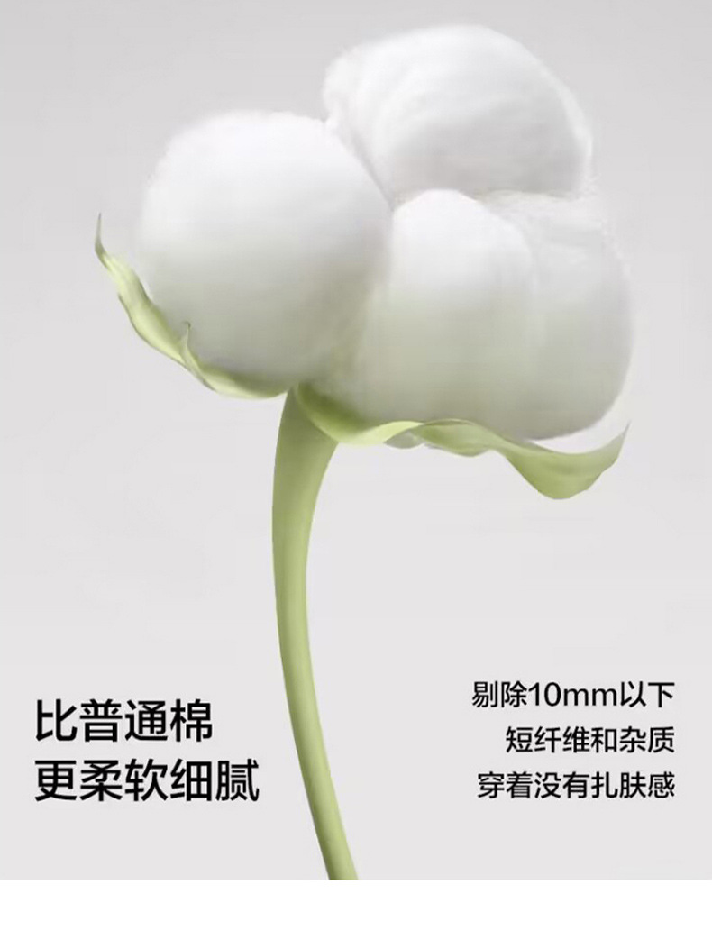 纯棉工装裤男2025秋冬宽松运动卫裤男士直筒休闲长裤冬季加绒裤子详情11