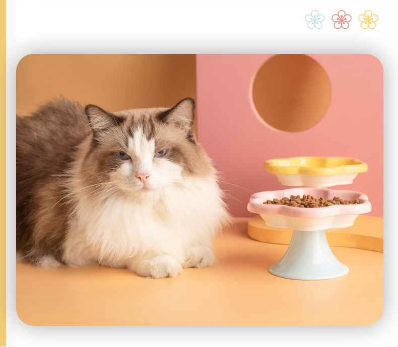 High-quality macaron-colored flower-shaped pet bowls, pet feeding bowls, dog supplies, pet automatic water dispensers, pet supplies, durable and easy to clean pic 8