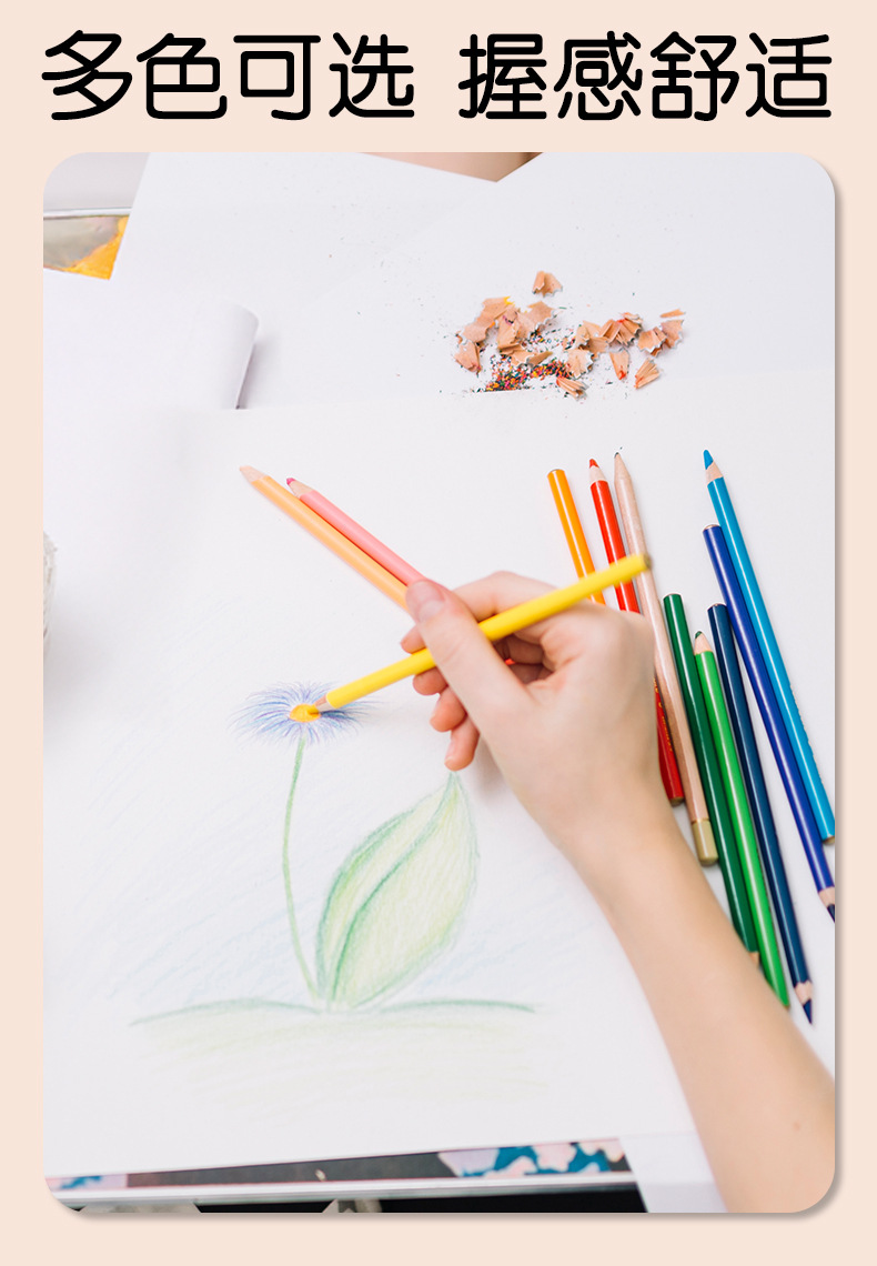 Weibo炜搏木质12色彩铅小兔子儿童美术绘图画画涂鸦高级填色批发详情5