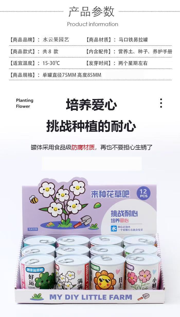 幼儿园儿童种植小盆栽学生迷你水果小盆栽盲盒办公室内桌面绿植物详情6