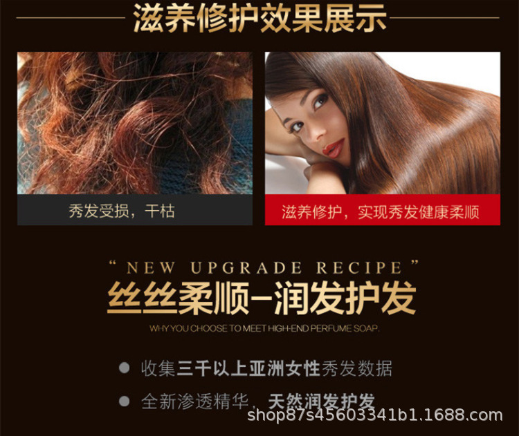 茶籽柔顺洗发露去屑止痒留香清洁头皮日用品家用洗发水代发批发详情14