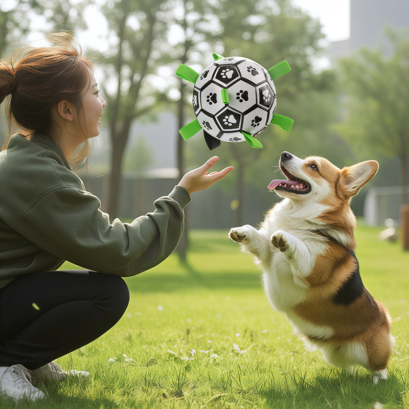 Dog toy balls, teething and biting resistant, dog football, outdoor special touring training balls, wholesale pet toys pic 3