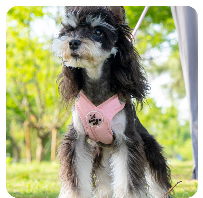 戎咖宠物跨境宠物伸缩牵引绳X型胸背狗狗牵引带雪纳瑞比熊遛狗胸背狗狗用品详情12