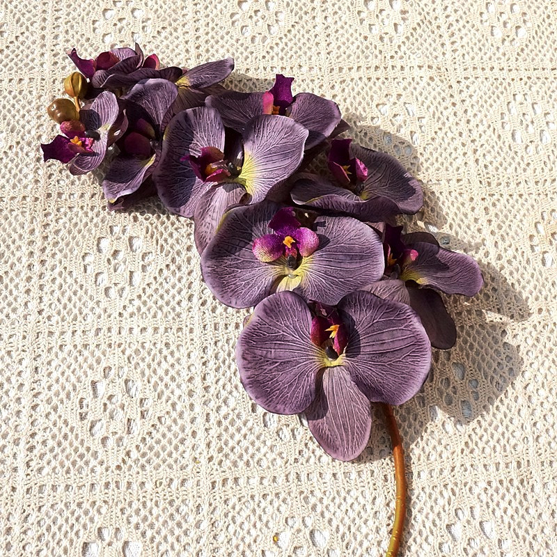 O1CN01XvgnCy1s540mwMmjM_!!4036