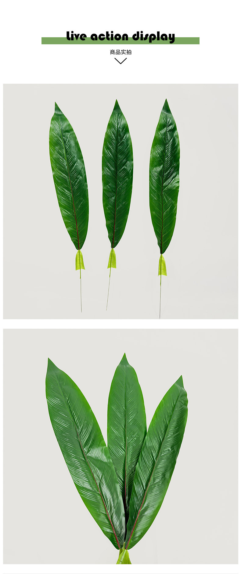 新款仿真叶子加厚仿真芭蕉叶婚庆仿真花摆件旅人蕉室内造景装饰叶详情6