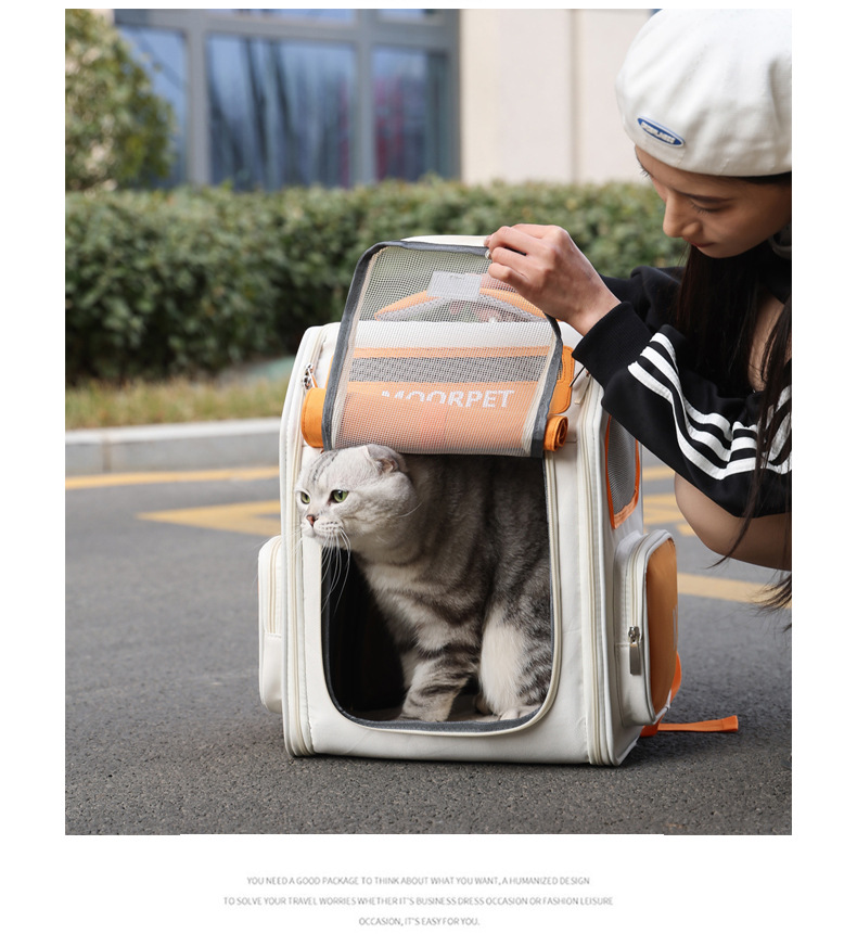 Fabricante de suministro directo bolsa de gato bolsa transpirable multicolor opcional llevar afuera ambos hombros transpirable alto nivel de apariencia mochila de viaje para mascotas pic 14