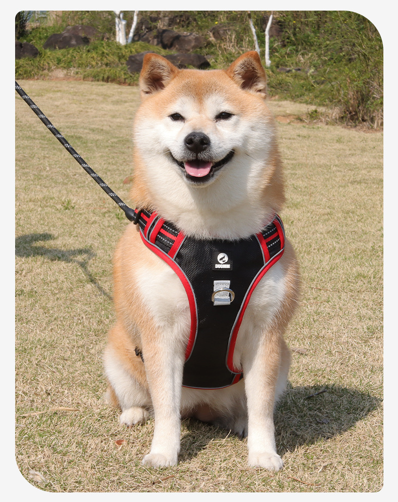 Cross-border dog leashes, anti-break large dog chest straps, reflective medium and large dog leashes, outdoor dog walking leashes pic 23