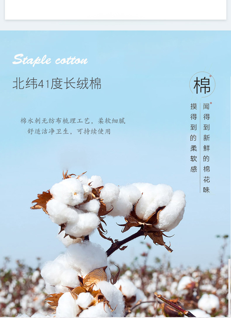 13197745076_241952442